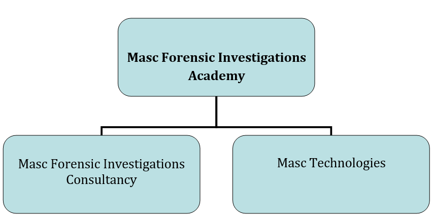 Company structure